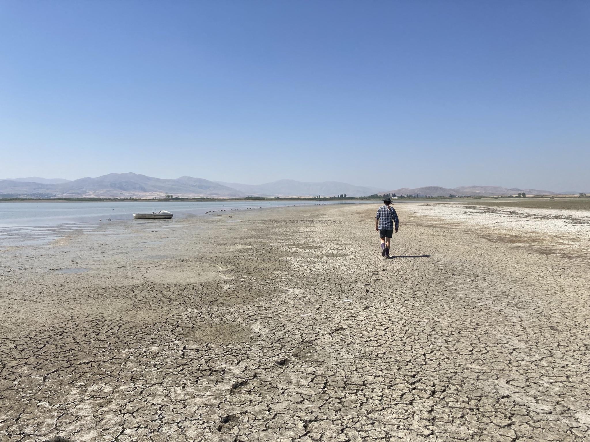 ''Konya Kapalı Havzası’nın geleceği, su talebinin kontrol altına alınmasından geçiyor. Ne var ki büyük su israfına sebep olan açık sulama yöntemleri, hâlâ yaygın olarak kullanılıyor. Bu, bölgeye yüksek bir maliyetle taşınan suyun, sulamada israf edildiği anlamına geliyor. Güncel tahminler, açık sulama yöntemlerinden kaynaklanan su kaybının, Mavi Tünel projesi ile bölgeye getirilen suya denk miktarda olduğunu gösteriyor.'' (Fotoğraf: Dr. Gültekin Yılmaz)