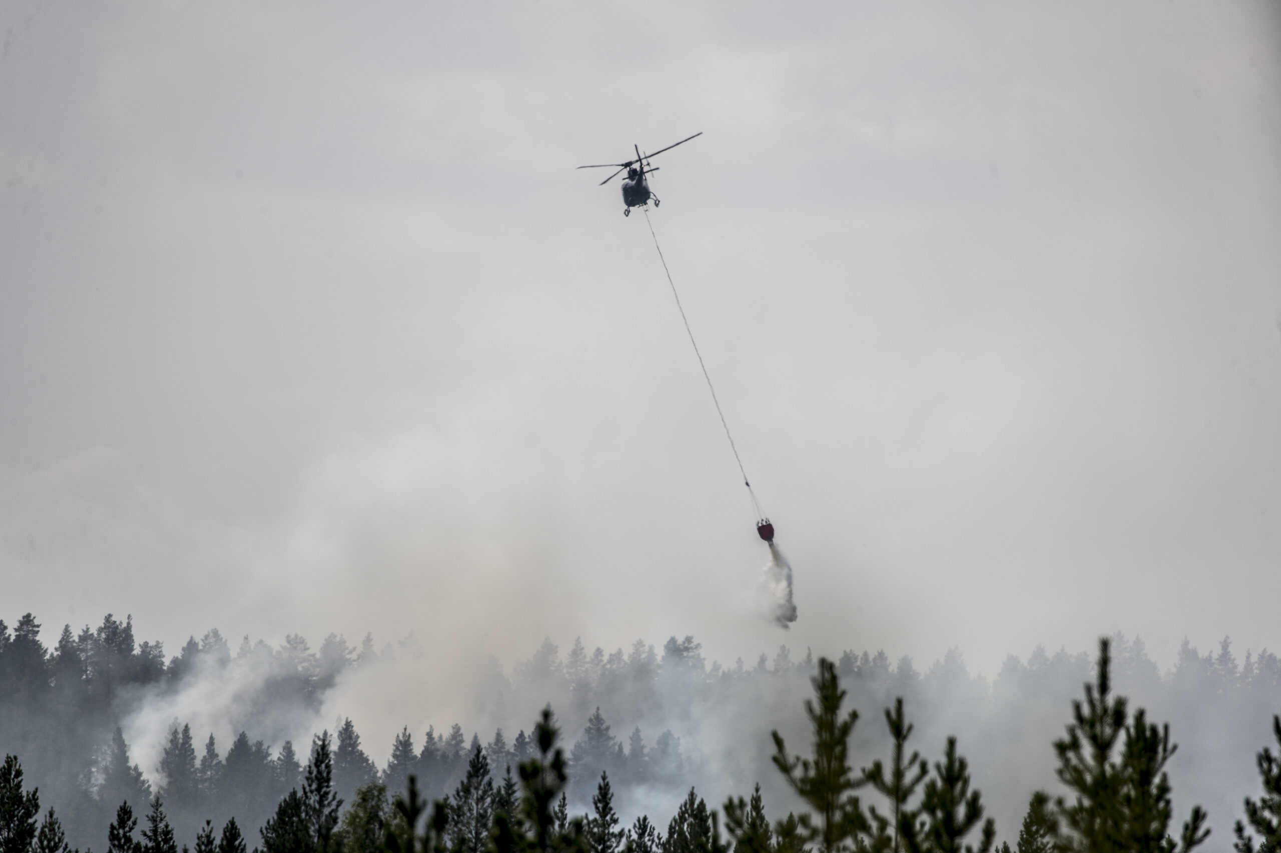 ''Bu yıl en şiddetli yangınlar haziranda başladı ve üstelik yangınlar aynı anda birçok farklı noktada çıktı. İşte bu, hazırlık düzeyi ne olursa olsun, ülkenin ulusal kaynaklarını zorlayan bir sürpriz faktör oldu. Böyle bir mesele sadece daha fazla uçak veya araç gereç almakla çözülemez.”