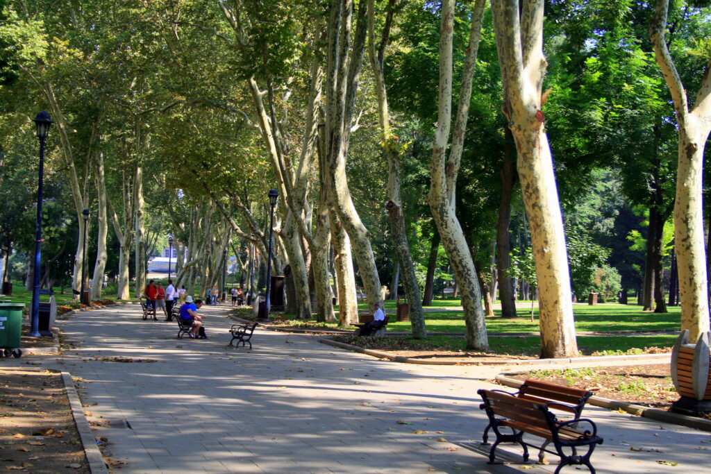 Araştırma sonuçları, ortalama konut fiyatlarının şehir ortalamasının altında olduğu 28 mahalenin 23’ündeki konut fiyatlarının, İstanbul ortalamasının da üzerinde arttığını ortaya koydu. En dikkat çekici artışlar; Esenler 15 Temmuz Millet Bahçesi yakınındaki Havaalanı mahallesi ile Ayazma Millet Bahçeleri’ne komşu olan Ziya Gökalp mahallelerinde gözlendi. Konut fiyatları, Havaalanı mahallesinde %140, Ziya Gökalp mahallesinde ise %120 oranında arttı. (Fotoğraf: “Istanbul Park” by Enric Archivell, CC BY-NC-SA 2.0)