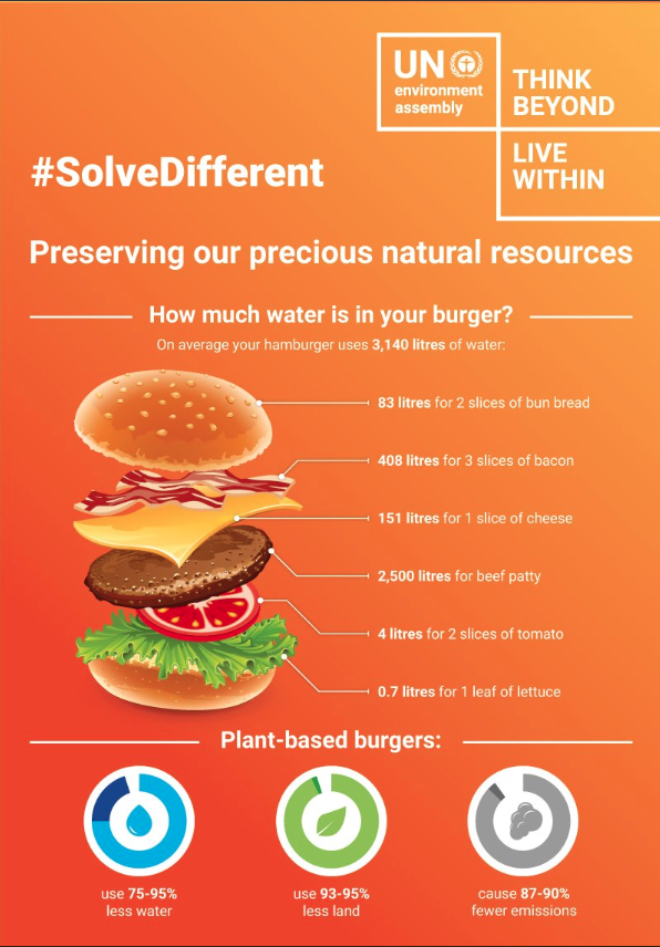 Tek bir hamburgerin üretimi için yaklaşık 3,140 litre su kullanıldığı hesaplanıyor. Bu suyun büyük kısmı, hamburgerin eti için beslenen büyükbaş hayvanların su tüketiminden kaynaklanıyor. (Kaynak: https://www.weforum.org/stories/2019/02/this-is-how-much-water-is-in-your-burger/)