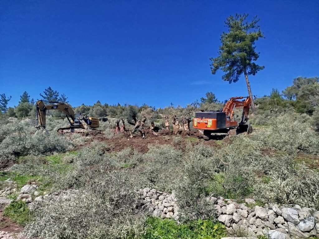 ''Anket, Türkiye’de hâlâ geliştirilmekte olan kömür projelerinin kamuoyu tarafından desteklenmeyeceğini güçlü biçimde gösteriyor. Dolayısıyla bu projelerin durdurulması siyasi fayda sağlayabilir.''