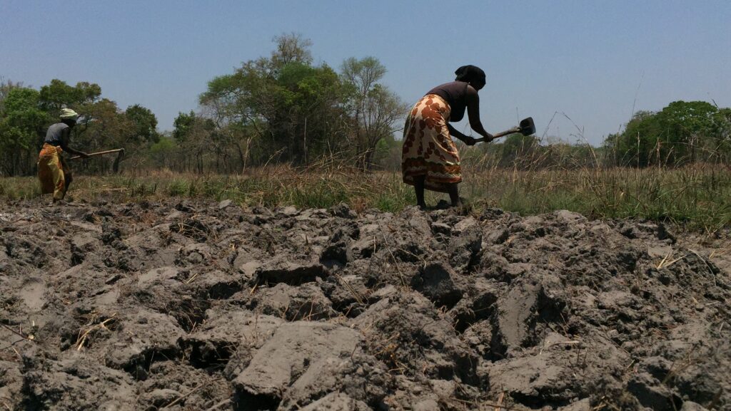 ''El Niño’nun Aralık 2026 civarında zirve yapmasının asıl etkisi, 2027 yılı boyunca gözlenir.'' (Fotoğraf: “Drought in Mozambique” by Suomalaiset kehitysjärjestöt - Fingo, CC BY-NC 2.0)