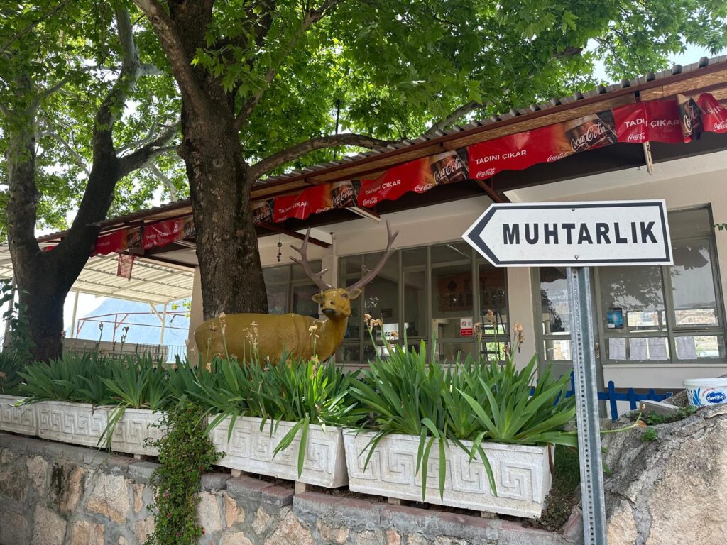 ''Hiçbir iklim politikasının uygulanmadığı kötümser senaryoda (RCP8.5) kısa vadede PET değerleri, kıyı kesimlerinde yer yer 41°C’nin üzerine, yüksek rakımlı bölgelerde ise 23°C’nin üzerine doğru kayacak. Yaylalardaki PET değerlerinin orta vadede 23-29°, uzak gelecekte ise 29-35°C aralığına yükseleceği tahmin ediliyor.''
